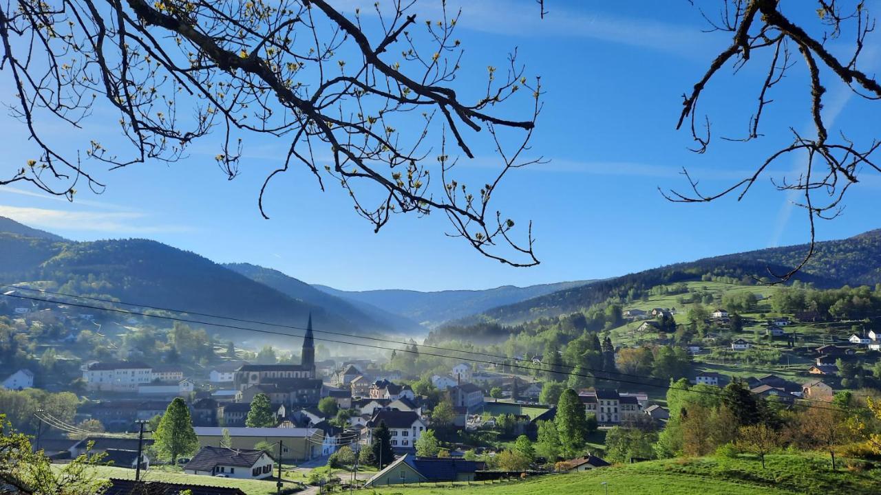 Gite Des 3 Jonquilles Saint-Maurice-sur-Moselle Exterior foto