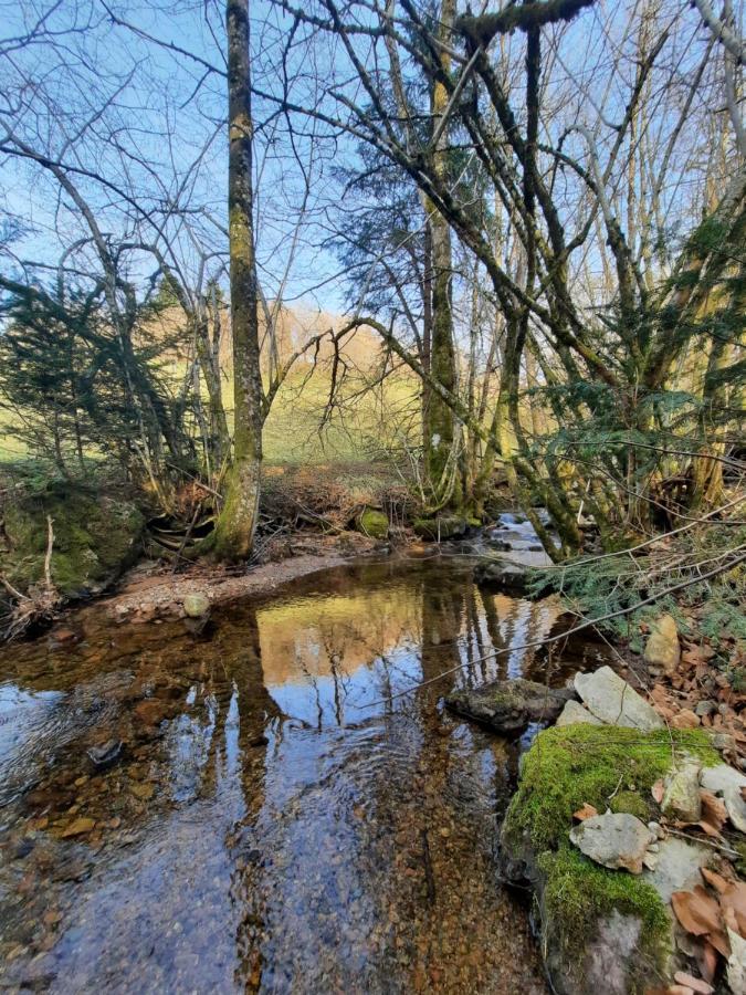 Gite Des 3 Jonquilles Saint-Maurice-sur-Moselle Exterior foto