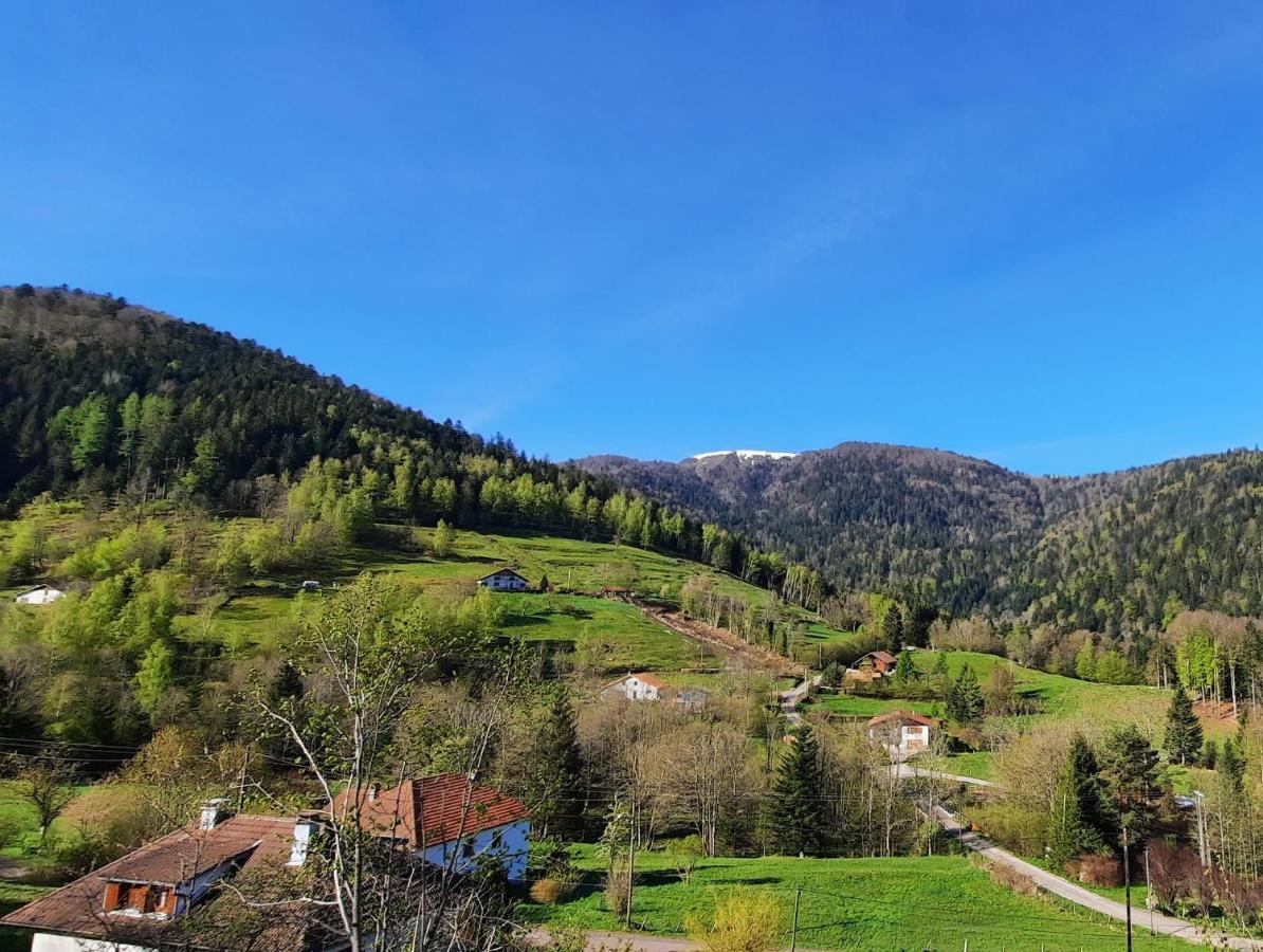 Gite Des 3 Jonquilles Saint-Maurice-sur-Moselle Exterior foto