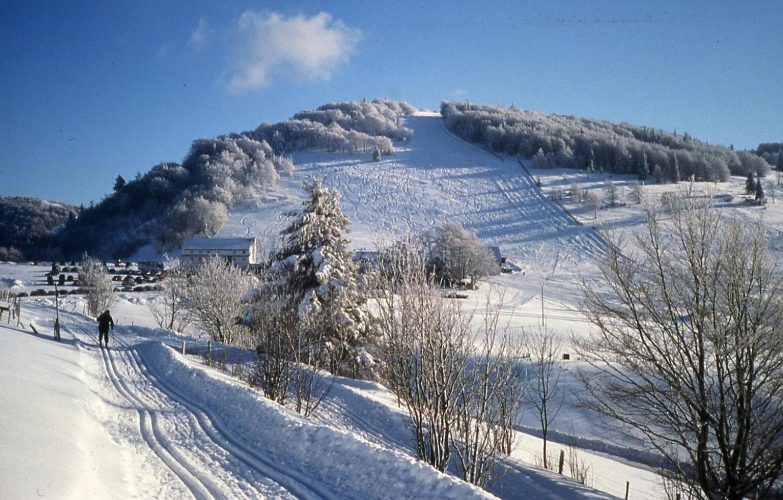 Gite Des 3 Jonquilles Saint-Maurice-sur-Moselle Exterior foto